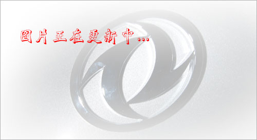 东风尖头吸粪车